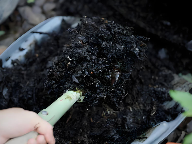 Kitchen Waste Processing: From Challenges to Solutions with Integrated Equipment Systems
